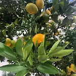 Tanjica * Crikvenica